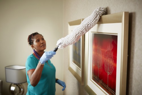 A staff dusting the wall